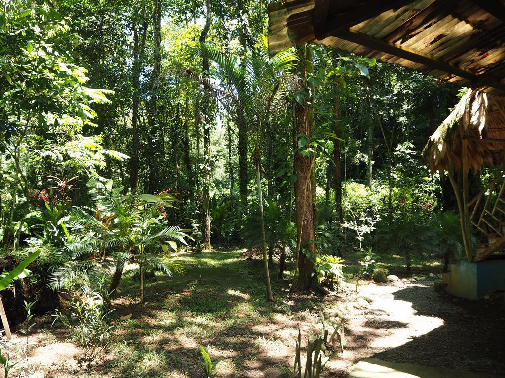 曼萨尼约Se Ua住宿加早餐旅馆 外观 照片